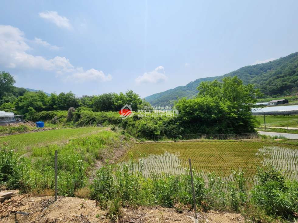 경북 상주시 공성면 이화리 이화리 2차선 도로접 개발지(전673평) 매매 매물번호 12310 사진 2