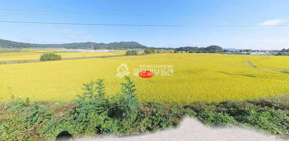경북 상주시 외서면 관동리 관동리 농업보호구역 농지(임582평) 매매 매물번호 12311 사진 2