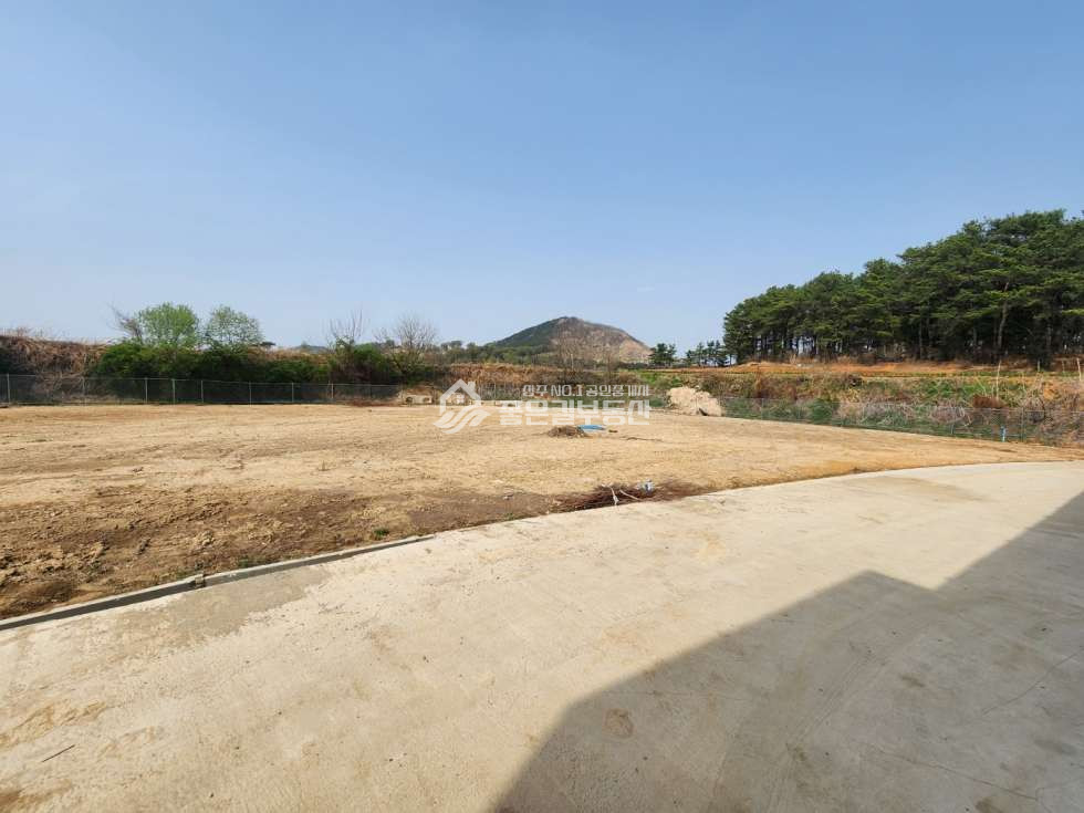 경북 예천군 풍양면 낙상리 가동 <신축>풍양면 낙상리 우사(약250두) 매매 매물번호 12273 사진 3