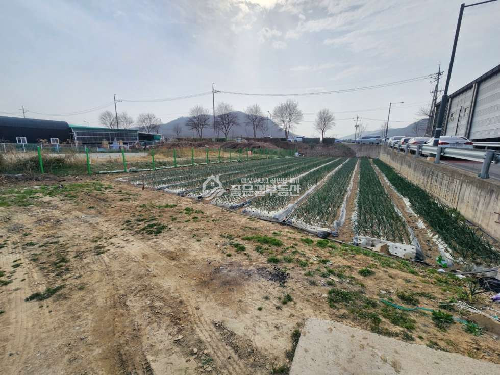 경북 상주시 무양동 무양동 주거지역 상가,원룸부지(약208평) 매매 매물번호 12189 사진 1