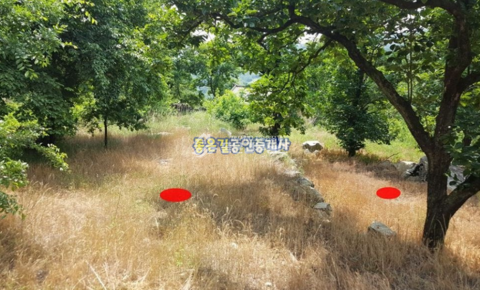 경북 상주시 낙동면 용포리 낙동면 용포리 갑장산자락 전원주택지 1,108평 매매 매물번호 10128 사진 6