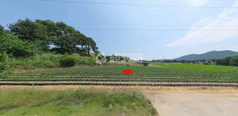 경북 예천군 풍양면 청곡리 예천군 풍양면 낙동강변 전원주택지(전128평) 매매 매물번호 10141 사진 2