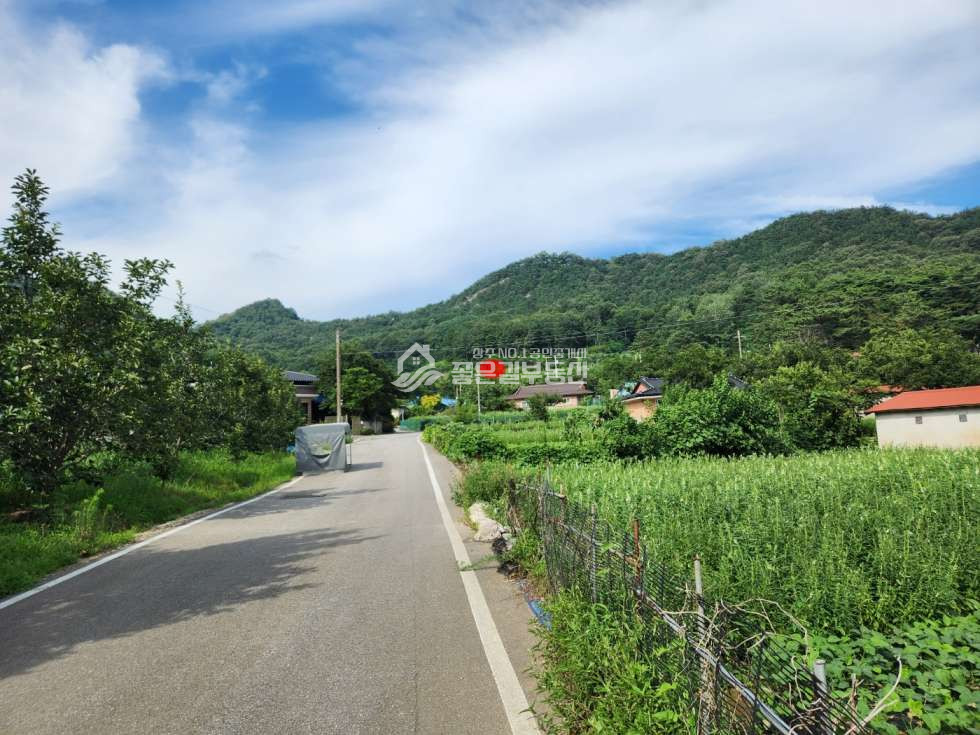 경북 상주시 낙동면 성동리 낙동면 성동리 계획관리 개발지(약694평) 매매 매물번호 12389 사진 1