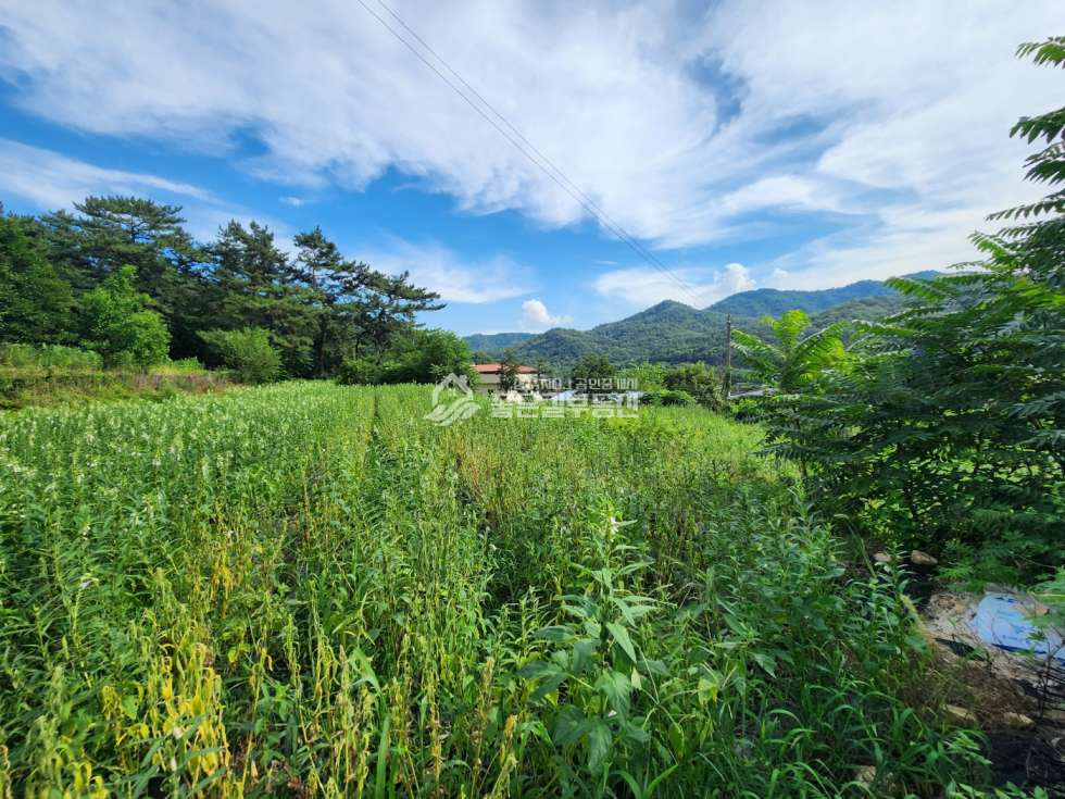 경북 상주시 낙동면 성동리 낙동면 성동리 계획관리 개발지(약694평) 매매 매물번호 12389 사진 2