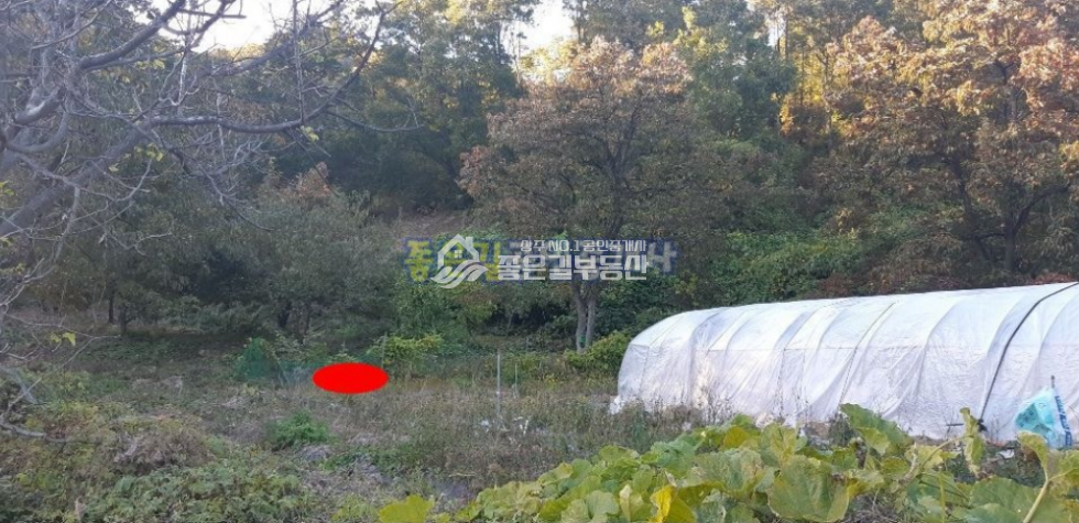 경북 상주시 은척면 황령리 상주시 은척면 산밑자락 한적한 주택지(대 294평) 매매 매물번호 10157 사진 3
