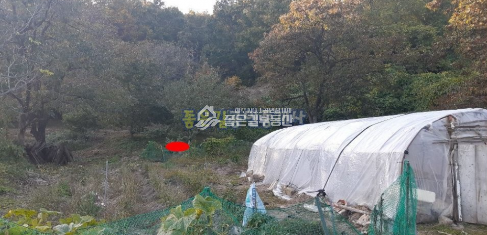 경북 상주시 은척면 황령리 상주시 은척면 산밑자락 한적한 주택지(대 294평) 매매 매물번호 10157 사진 5