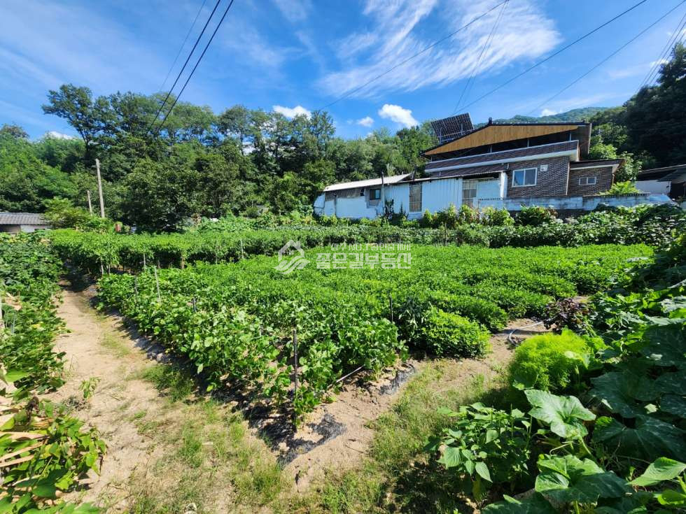 경북 상주시 외남면 구서리 외남면 구서리 마을안 대지(약220평) 매매 매물번호 12413 사진 1