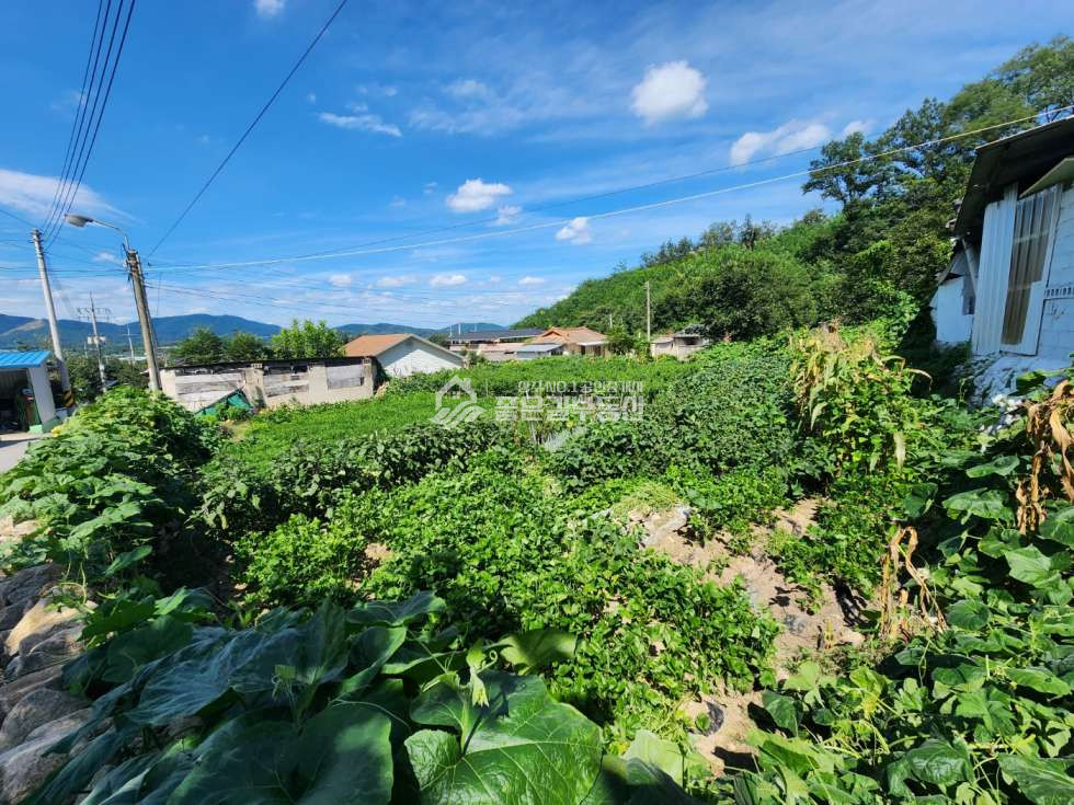 경북 상주시 외남면 구서리 외남면 구서리 마을안 대지(약220평) 매매 매물번호 12413 사진 2