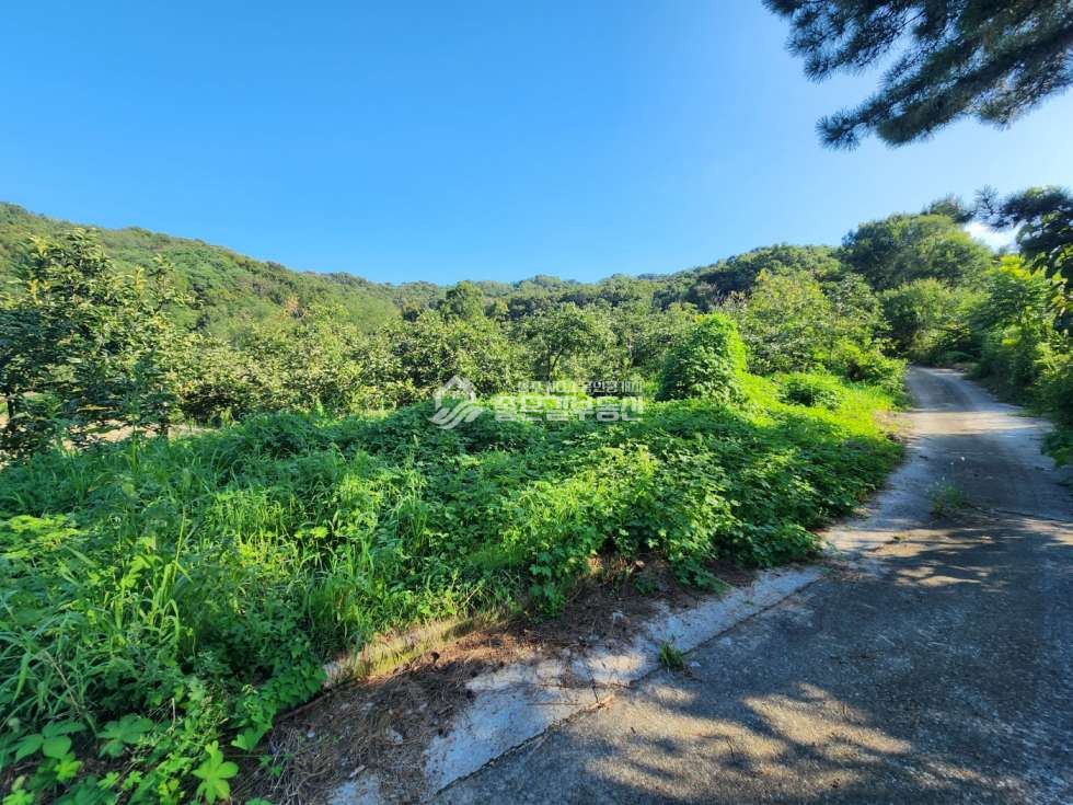 경북 상주시 낙동면 화산리 낙동면 화산리 산밑자락 개발지(전814평) 매매 매물번호 12415 사진 1