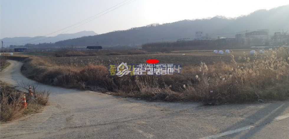 경북 상주시 낙동면 신상리 낙동면 산업도로 교차로 농지(답 975평) 매매 매물번호 10177 사진 3