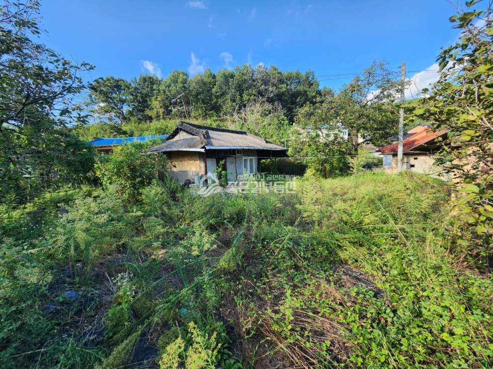 경북 상주시 중동면 금당리 중동면 금당리 입지 좋은 시골집(대202평,건12평) 매매 매물번호 12434 사진 1