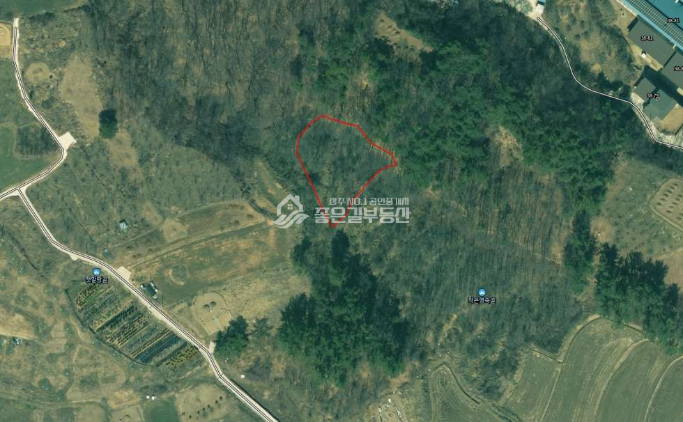 경북 상주시 청리면 하초리 청리면 하초리 농지(답451평) 매매 매물번호 12449 사진 1