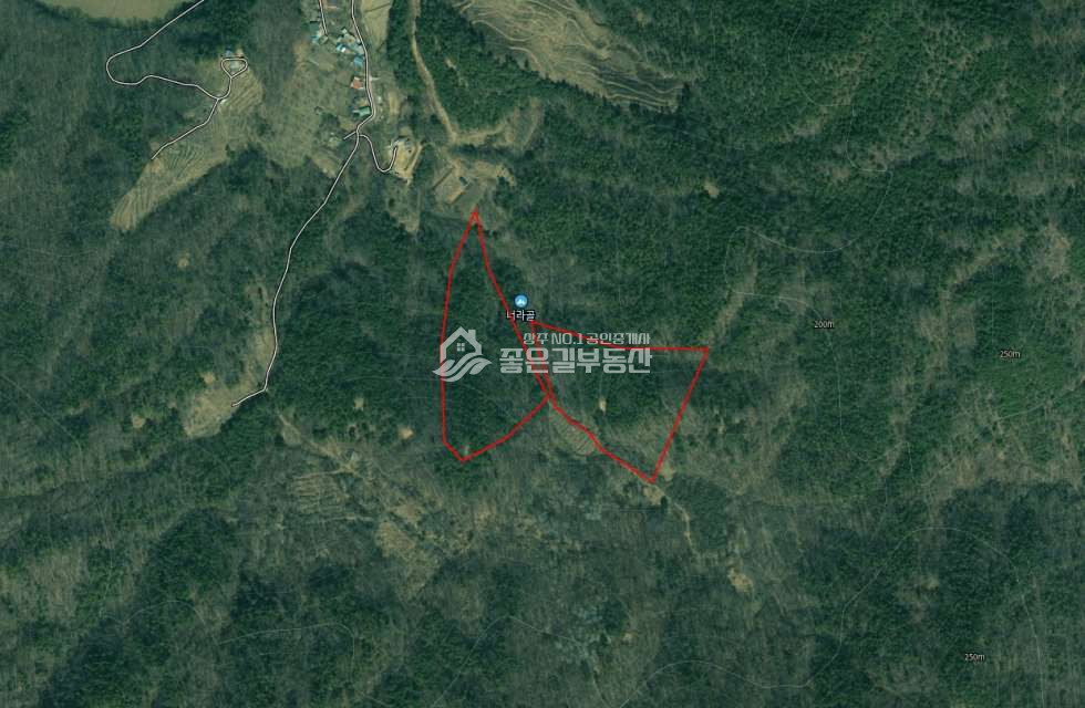 경북 상주시 남장동 남장동 임야(약11,160평) 매매 매물번호 12452 사진 1