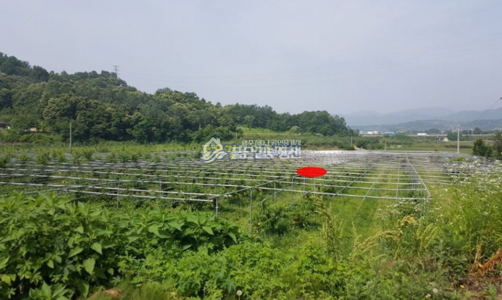 경북 상주시 공검면 화동리 공검면 화동리 대형 복숭아밭(답3,023평) 매매 매물번호 10123 사진 1