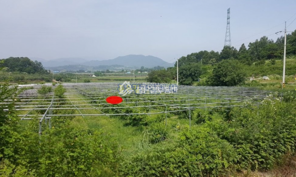 경북 상주시 공검면 화동리 공검면 화동리 대형 복숭아밭(답3,023평) 매매 매물번호 10123 사진 2