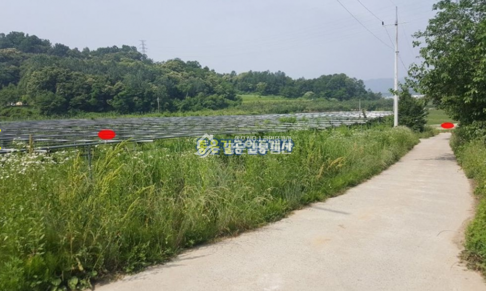 경북 상주시 공검면 화동리 공검면 화동리 대형 복숭아밭(답3,023평) 매매 매물번호 10123 사진 5