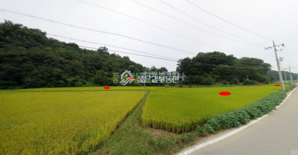 경북 상주시 함창읍 척동리 함창읍 척동리 2차선도로변 농 지(전 1,400평) 매매 매물번호 10248 사진 1