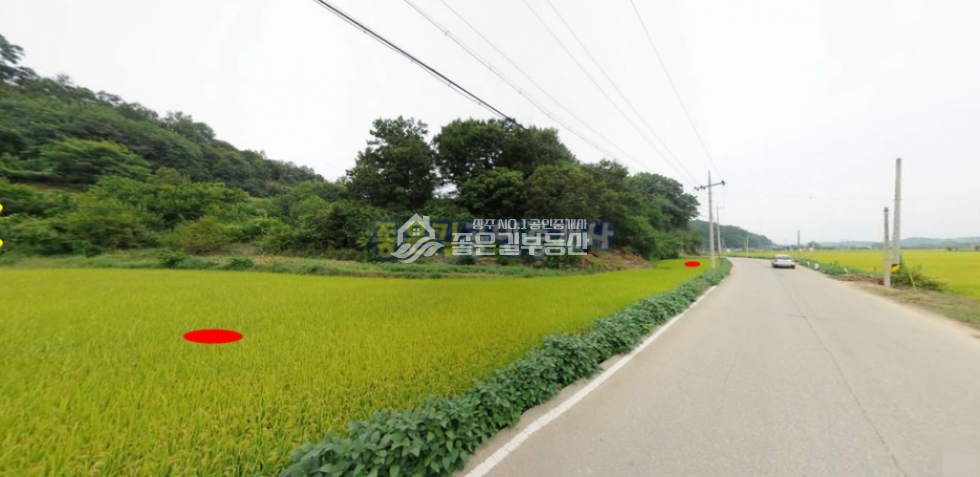 경북 상주시 함창읍 척동리 함창읍 척동리 2차선도로변 농 지(전 1,400평) 매매 매물번호 10248 사진 3