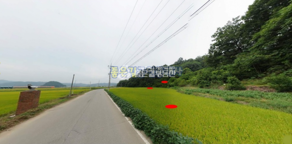 경북 상주시 함창읍 척동리 함창읍 척동리 2차선도로변 농 지(전 1,400평) 매매 매물번호 10248 사진 4