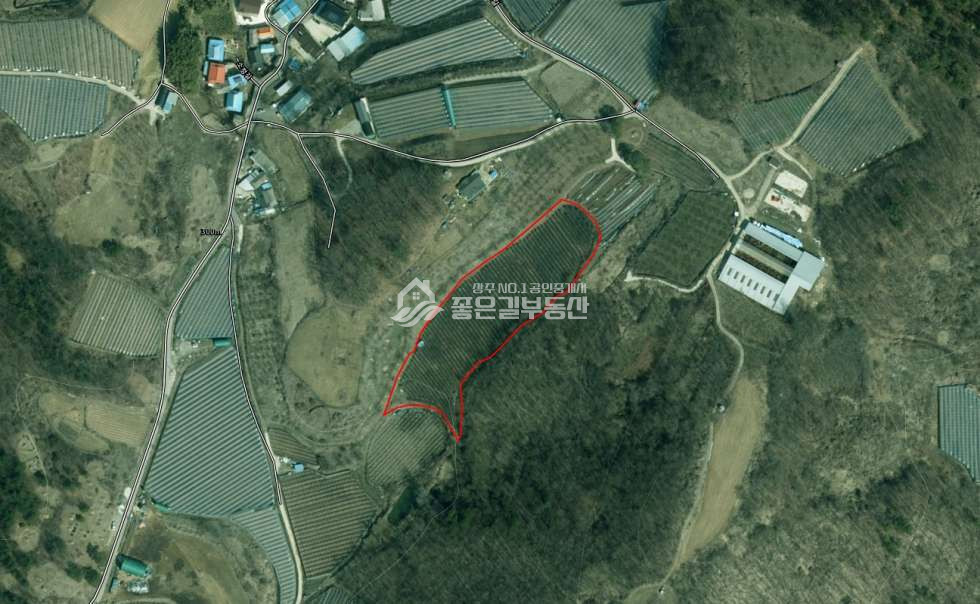 경북 상주시 모서면 소정리 모서면 소정리 아로니아밭(답2,375평) 매매 매물번호 12489 사진 2