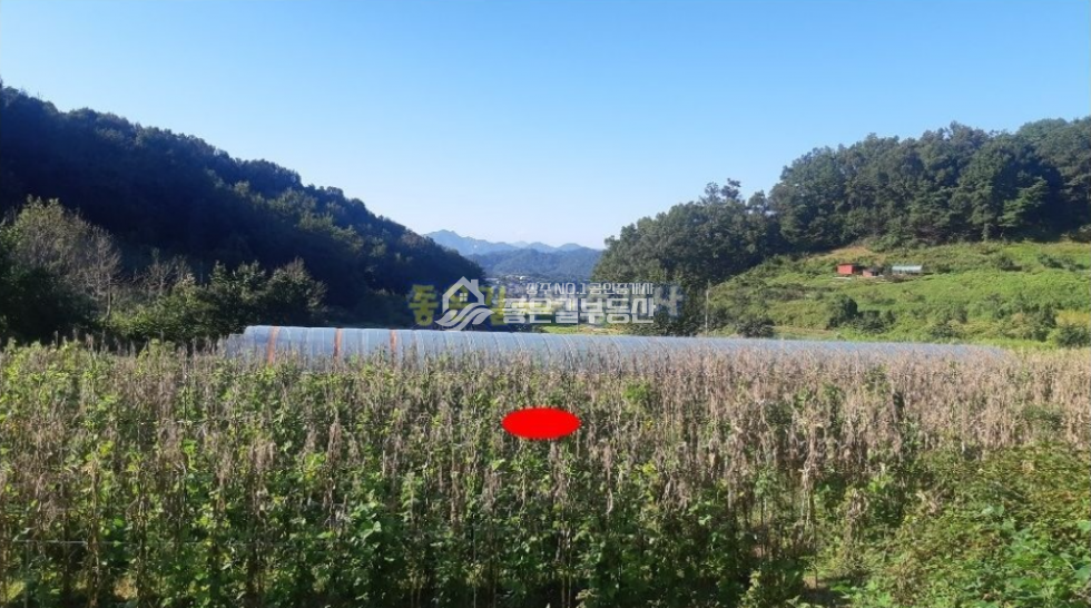 경북 상주시 공검면 양정리 상주시 공검면 양정리 외딴 농지(답 1,014평) 매매 매물번호 10252 사진 1