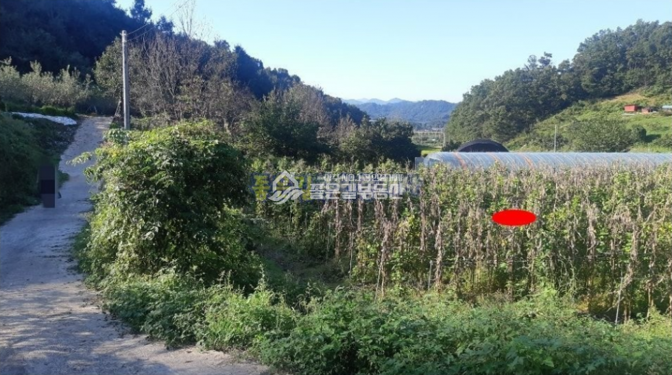 경북 상주시 공검면 양정리 상주시 공검면 양정리 외딴 농지(답 1,014평) 매매 매물번호 10252 사진 3