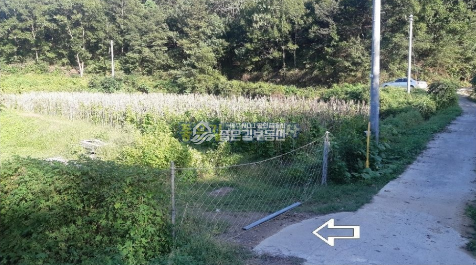 경북 상주시 공검면 양정리 상주시 공검면 양정리 외딴 농지(답 1,014평) 매매 매물번호 10252 사진 4