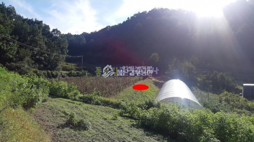 경북 상주시 공검면 양정리 상주시 공검면 양정리 외딴 농지(답 1,014평) 매매 매물번호 10252 사진 5