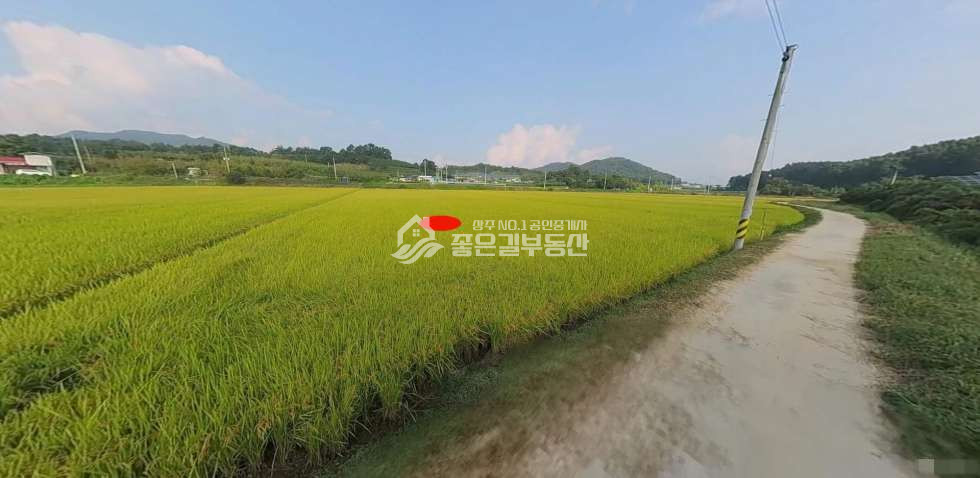 경북 상주시 공검면 율곡리 공검면 율곡리 농림지역 농지(답738평) 매매 매물번호 12510 사진 1