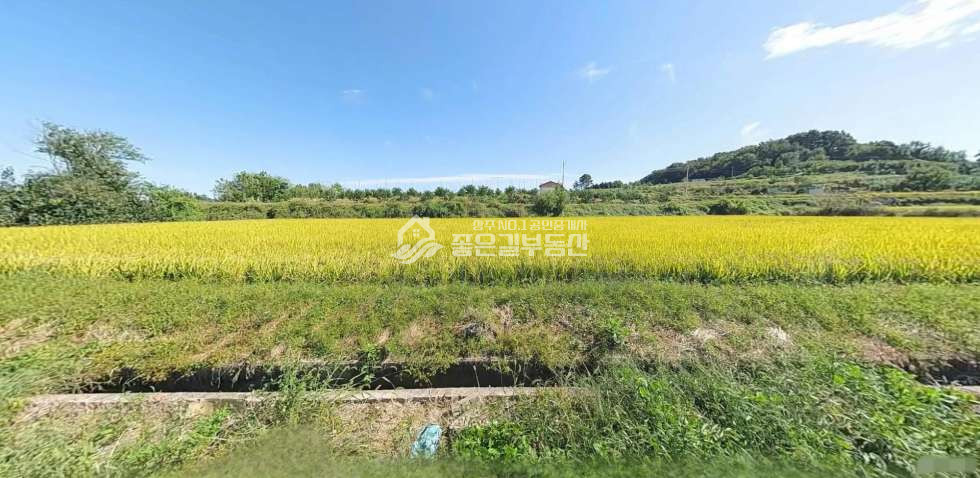 경북 상주시 화산동 화산동 자연녹지 농지(답851평) 매매 매물번호 12135 사진 2
