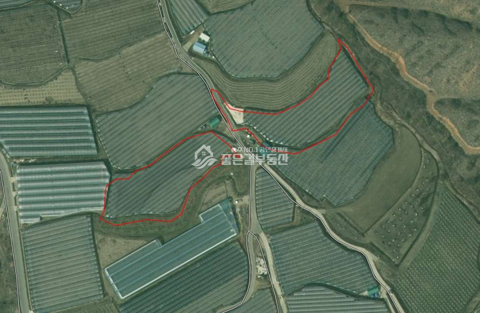 경북 상주시 모동면 신흥리 모동면 신흥리 샤인머스켓밭(답1,846평) 매매 매물번호 12473 사진 1