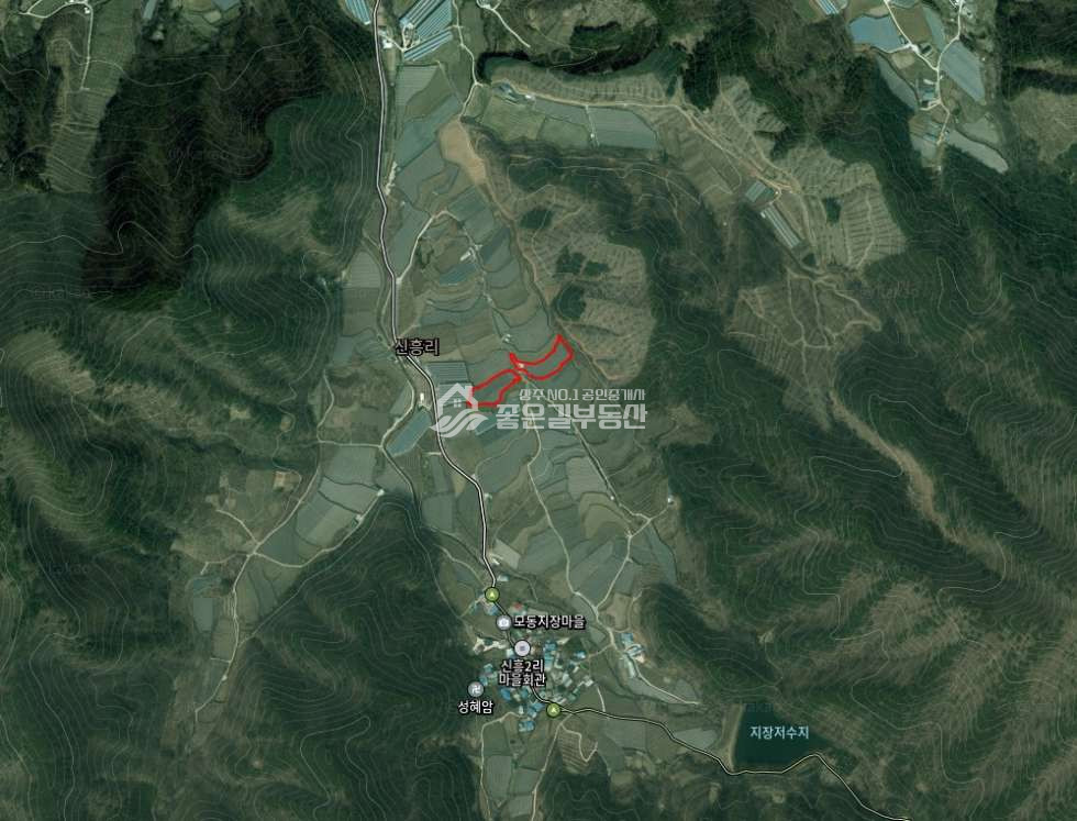 경북 상주시 모동면 신흥리 모동면 신흥리 샤인머스켓밭(답1,846평) 매매 매물번호 12473 사진 2