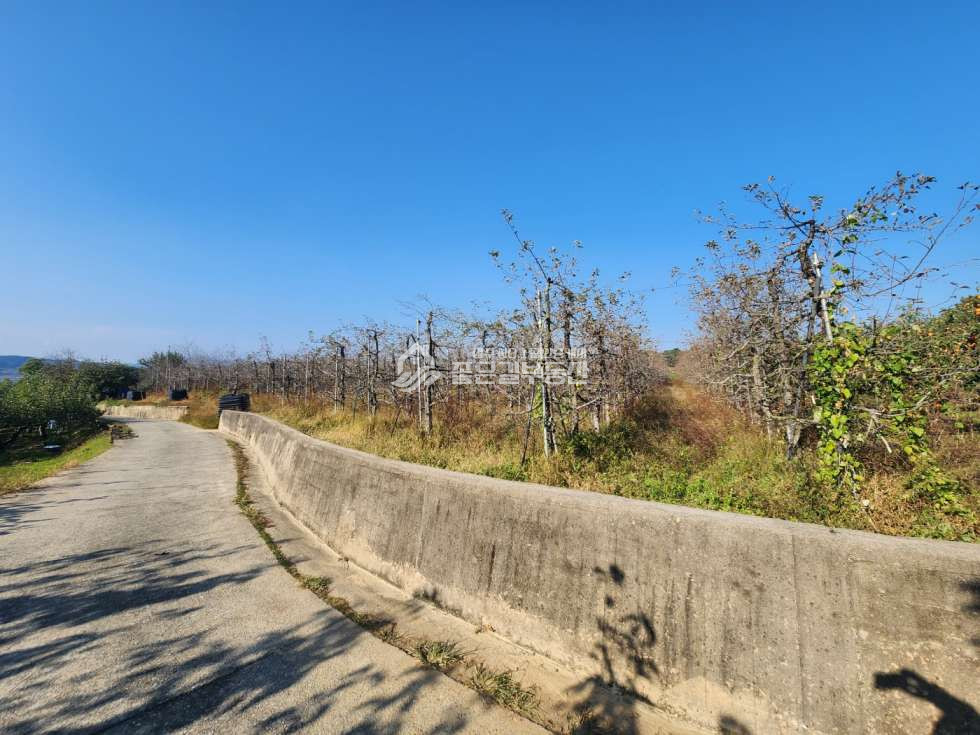 경북 상주시 사벌국면 용담리 사벌국면 용담리 계획관리 대형 과수원(약4,719평) 매매 매물번호 12519 사진 1