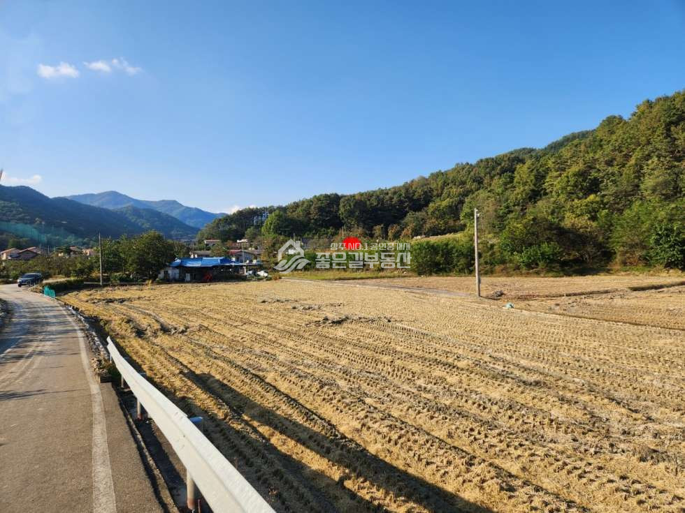경북 상주시 연원동 연원동 자연녹지 개발지(답1,102평) 매매 매물번호 12520 사진 6