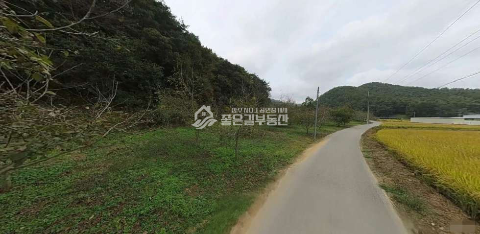경북 상주시 내서면 고곡리 내서면 고곡리 호두나무밭(전680평) 매매 매물번호 12522 사진 1