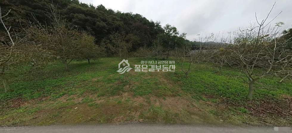 경북 상주시 내서면 고곡리 내서면 고곡리 호두나무밭(전680평) 매매 매물번호 12522 사진 2
