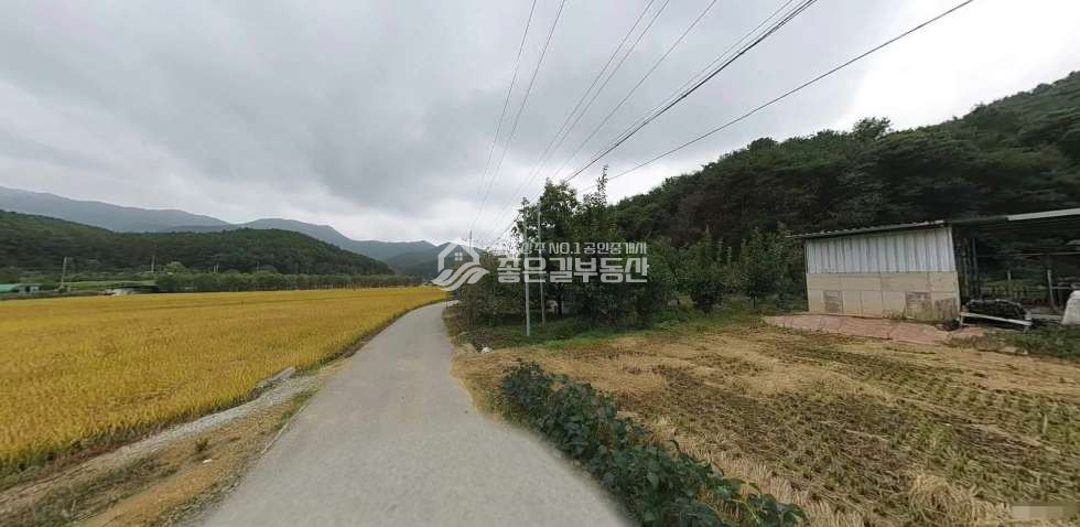 경북 상주시 내서면 고곡리 내서면 고곡리 호두나무밭(전680평) 매매 매물번호 12522 사진 3
