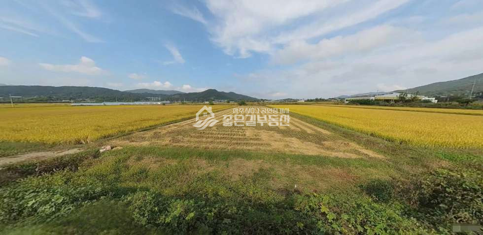 경북 상주시 양촌동 양촌동 농림지역 논(답690평) 매매 매물번호 12530 사진 2