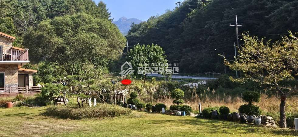 경북 상주시 화북면 용유리 화북면 용유계곡 인근 전원주택지(답257평) 매매 매물번호 12531 사진 2