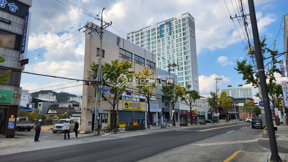 경북 상주시 냉림동 냉림동 상업지역 4층상가건물(대62평,연157평) 매매 매물번호 11274 사진 3