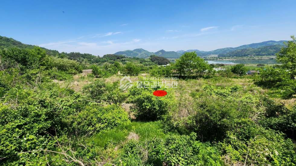 경북 상주시 사벌국면 퇴강리 낙동강 뷰~! 퇴강리 계획관리 개발지(전821평) 매매 매물번호 11674 사진 3