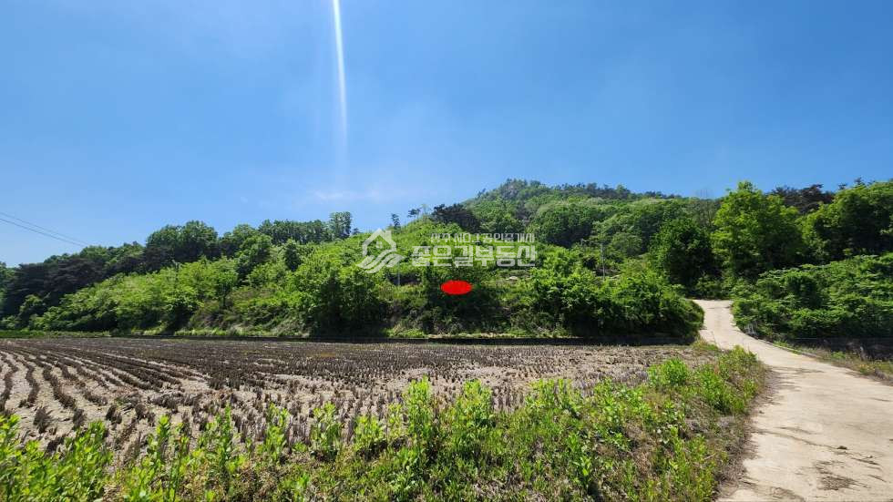 경북 상주시 사벌국면 퇴강리 낙동강 뷰~! 퇴강리 계획관리 개발지(전821평) 매매 매물번호 11674 사진 6