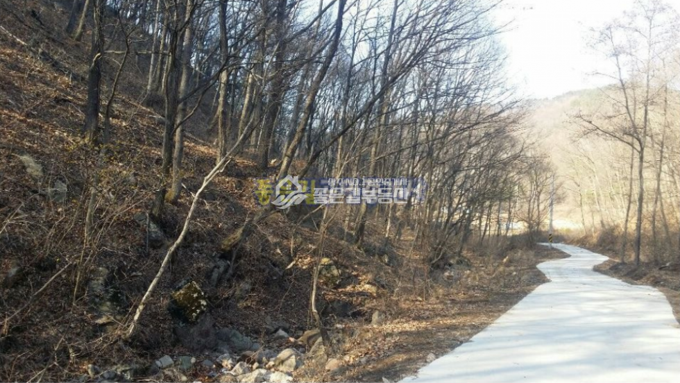 경북 문경시 농암면 갈동리 문경시 농암면 실개천 흐르는 임야 34,920평 매매 매물번호 10214 사진 3