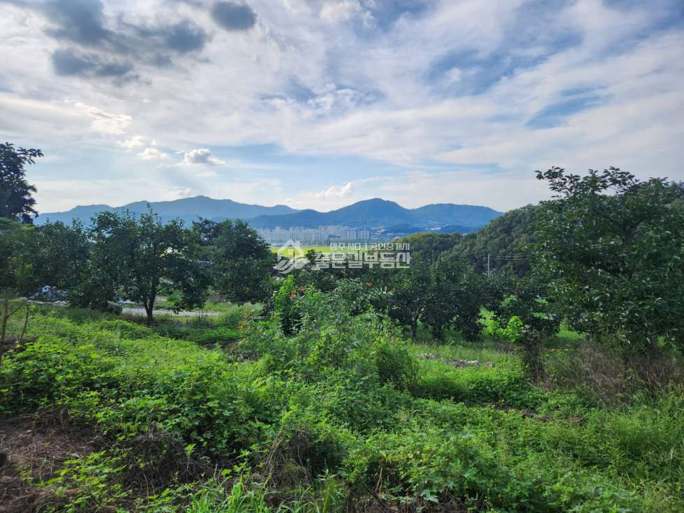 경북 상주시 서곡동 서곡동 전경 좋은 야산밑자락 농지(전438평) 매매 매물번호 12427 사진 5