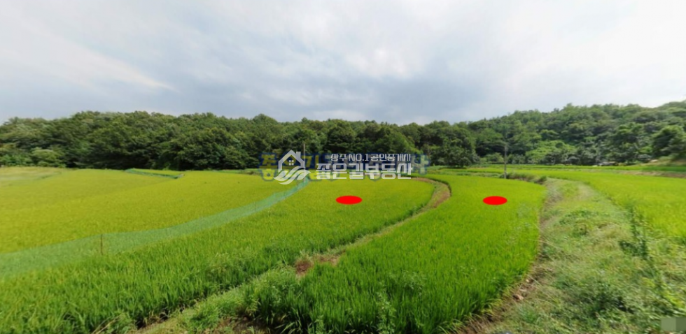 경북 상주시 외남면 신촌리 외남면 신촌리 외딴 농지(답 775평) 매매 매물번호 10292 사진 2