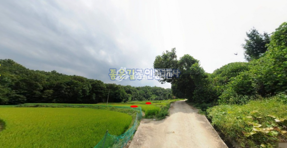 경북 상주시 외남면 신촌리 외남면 신촌리 외딴 농지(답 775평) 매매 매물번호 10292 사진 3