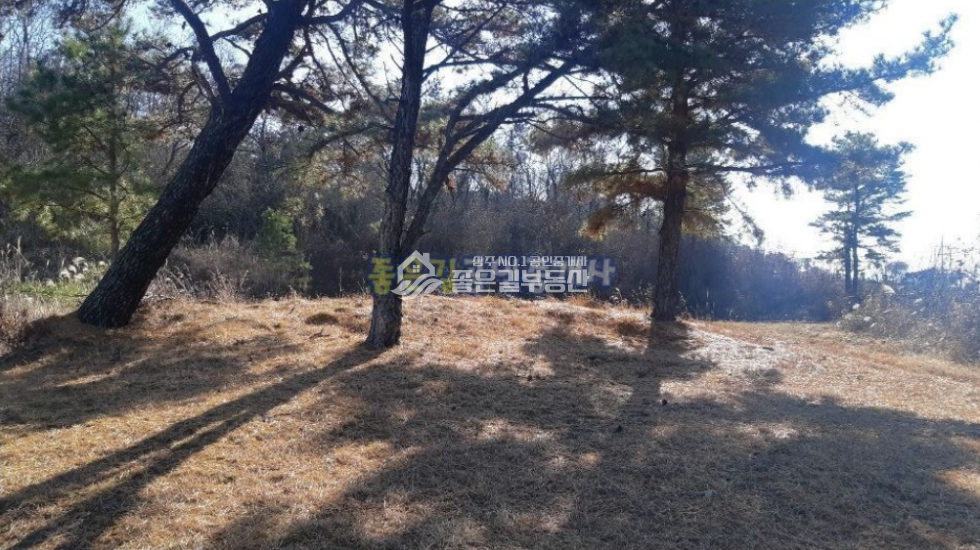 경북 상주시 도남동 도남동 인근 개발지 2,542평 매매 매물번호 10294 사진 6