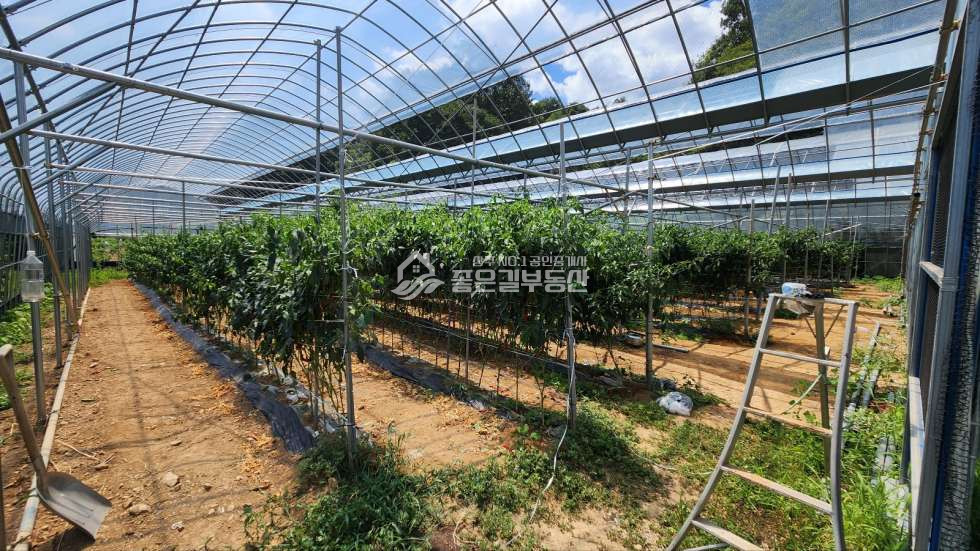 경북 문경시 농암면 화산리 문경시 농암면 전원주택&농장(대1,137평/건37평) 매매 매물번호 11832 사진 6