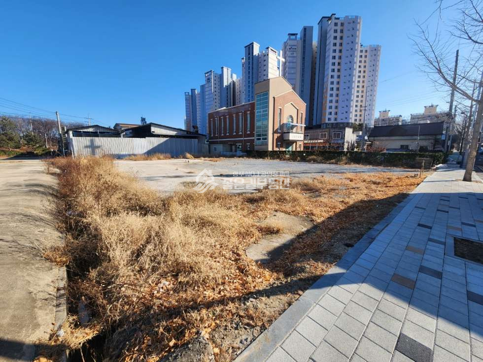 경북 상주시 냉림동 냉림동 일반상업지역 대발지(답254평) 매매 매물번호 12622 사진 4