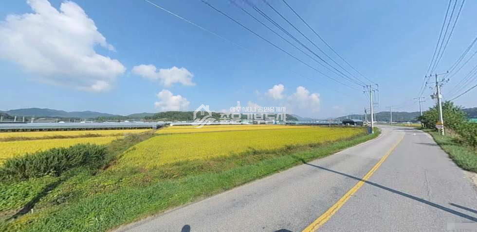 경북 상주시 화동면 신촌리 화동면 신촌리 2차선도로변 농지(답820평) 매매 매물번호 12624 사진 3